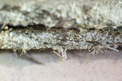 Asbestos Abatement in Old Bridge, NJ
