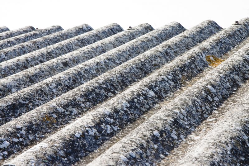 Asbestos Inspection Service