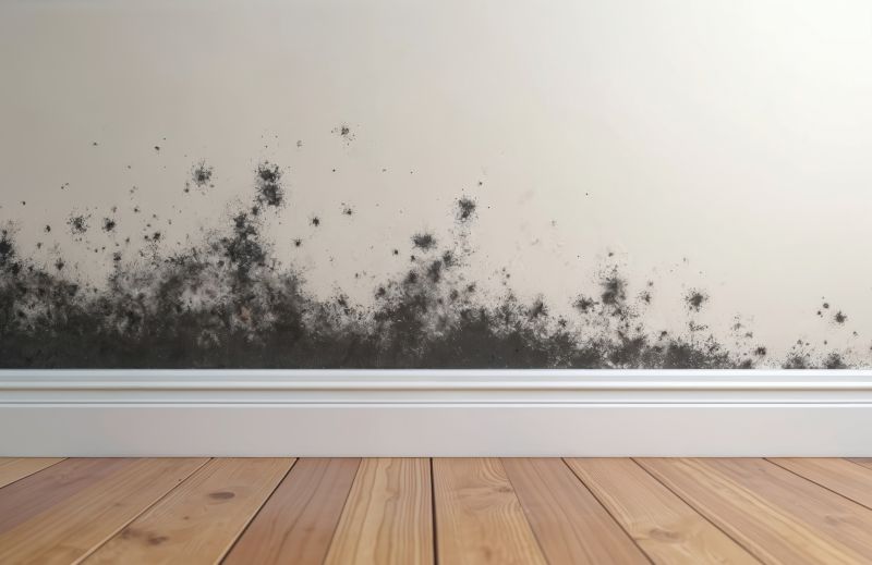 Black Mold Remediation in Frisco, TX