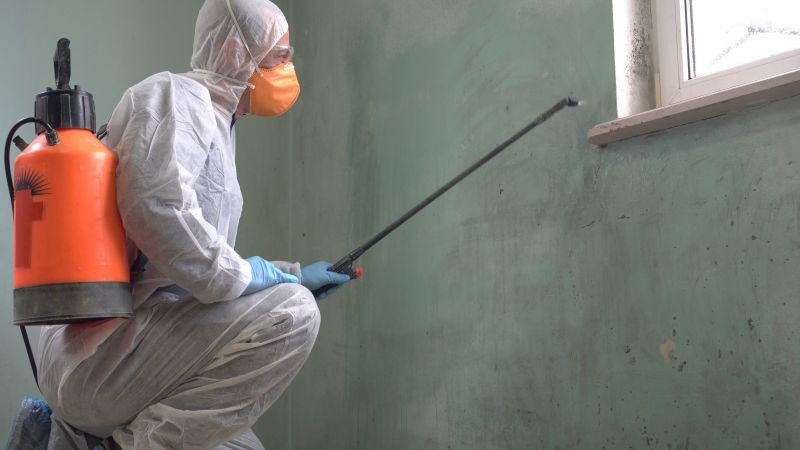 Mold Abatement in Pompano Beach, FL