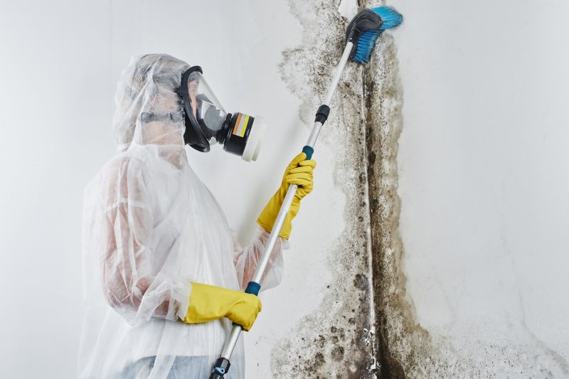 Mold Cleanup Service in Dallas, TX