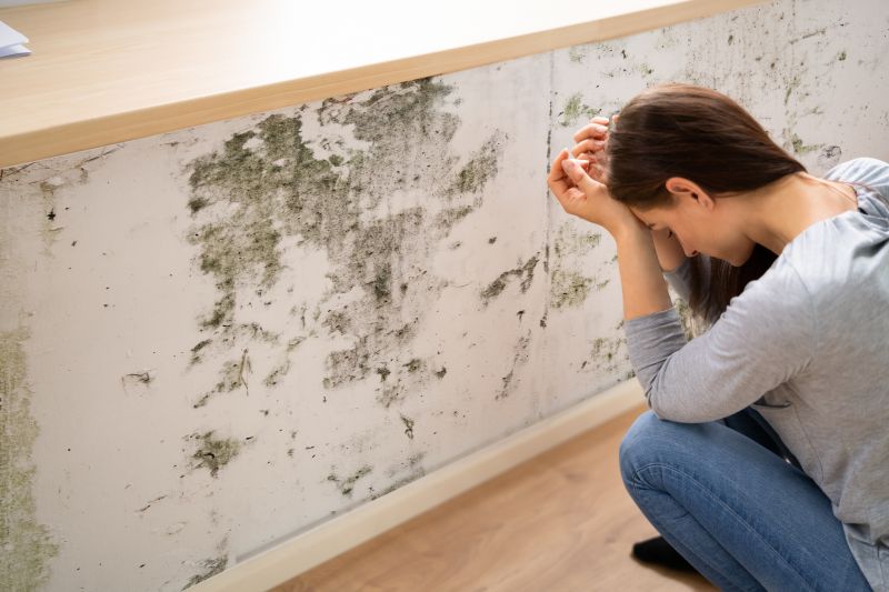 Mold Control in Boca Raton, FL