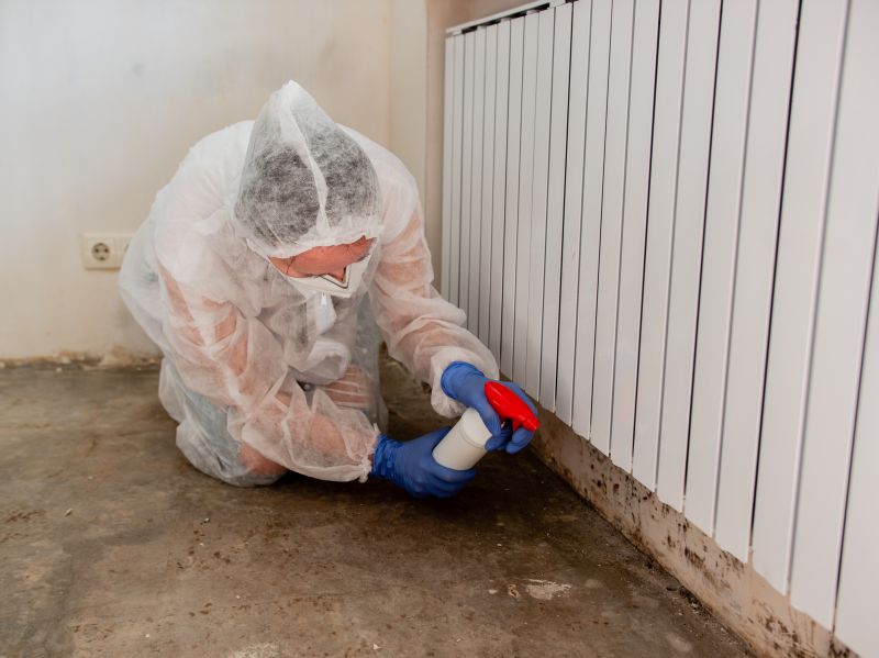 Mold Remediation Service in Fort Worth, TX