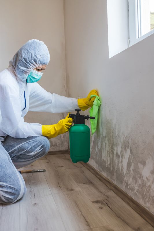 Mold Removal in Broward County, FL