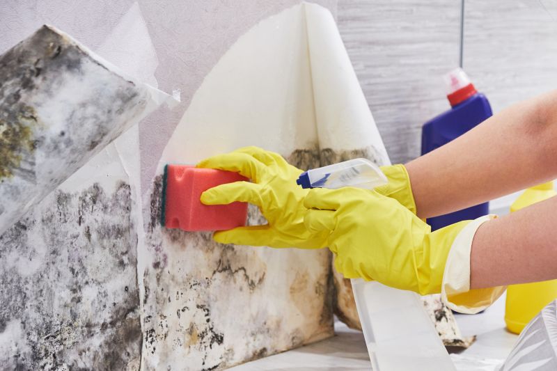 Mold Treatment Service in Fort Lauderdale, FL