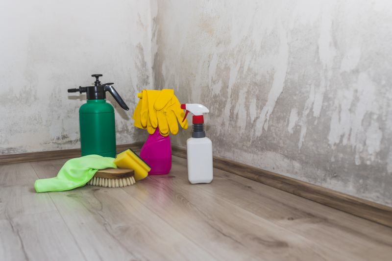Mold Treatment Service in Dallas, TX
