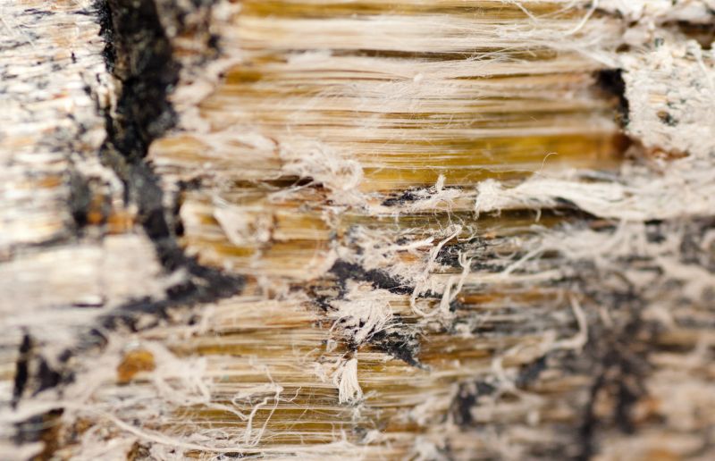 Vermiculite Remediation in Sussex County, NJ
